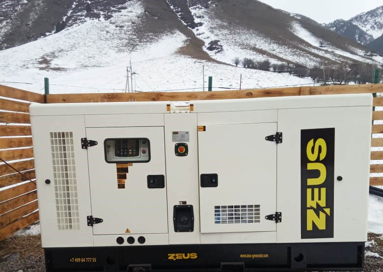 Дизельный генератор Zeus 50 кВт в кожухе с АВР и ПОЖ – для транспортной компании