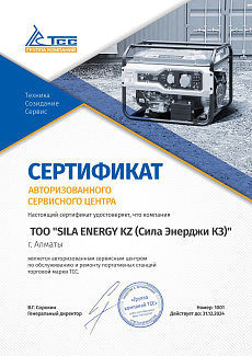 Сертификат ЭГ ТСС